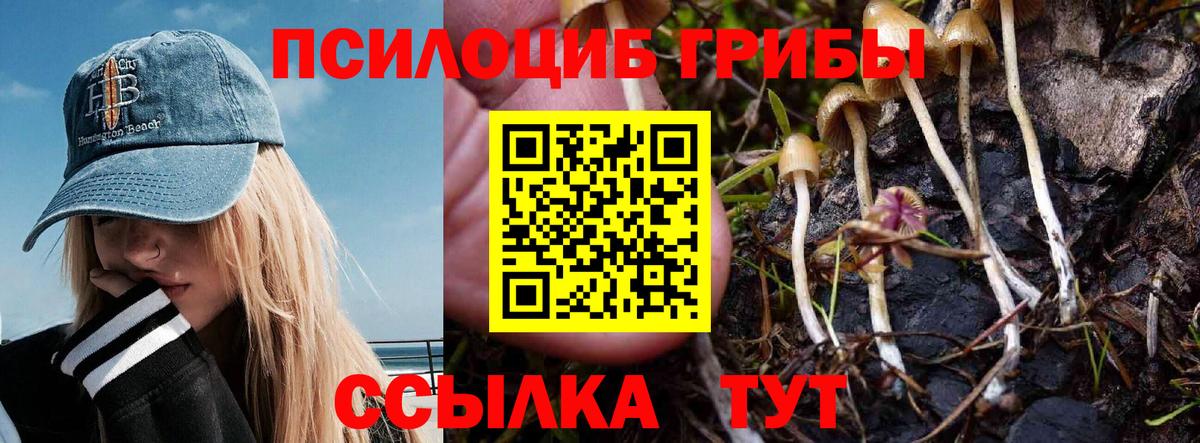 Псилоцибиновые грибы GOLDEN TEACHER Заринск